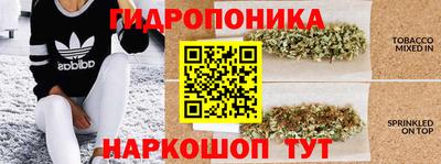дживик Жуковский